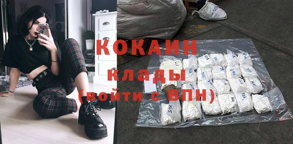 крисы Кулебаки