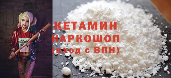 крисы Кулебаки