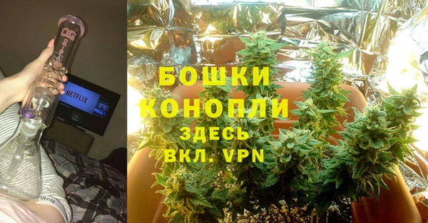 крисы Кулебаки